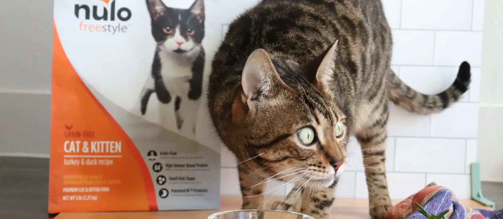 A cat eating food out of a glass bowl. Next to it is a bag of Nulo pet food.