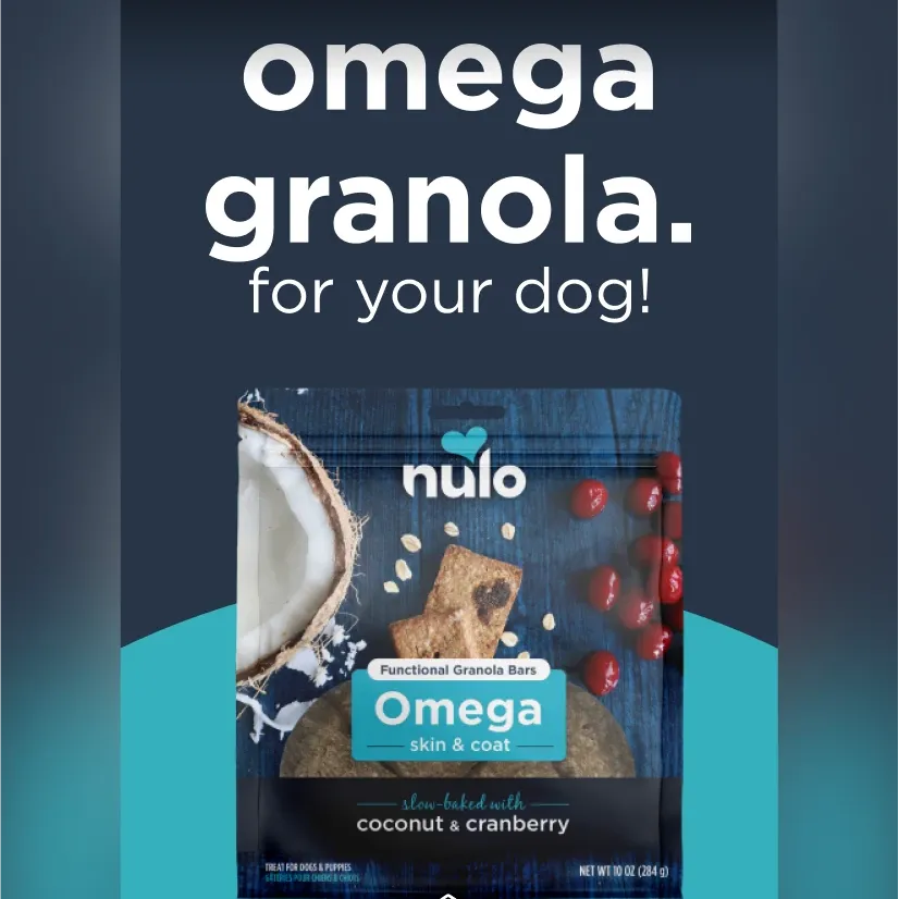Screenshot of an Instagram ad for Nulo Pet Food.
