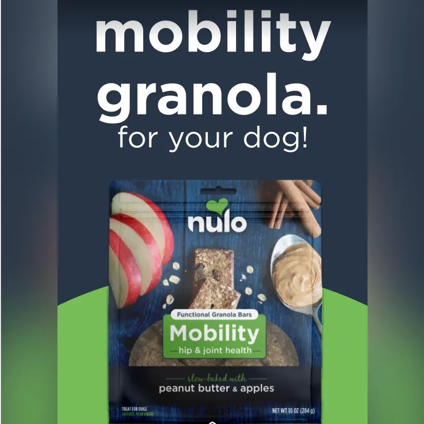 Screenshot of an Instagram ad for Nulo Pet Food.