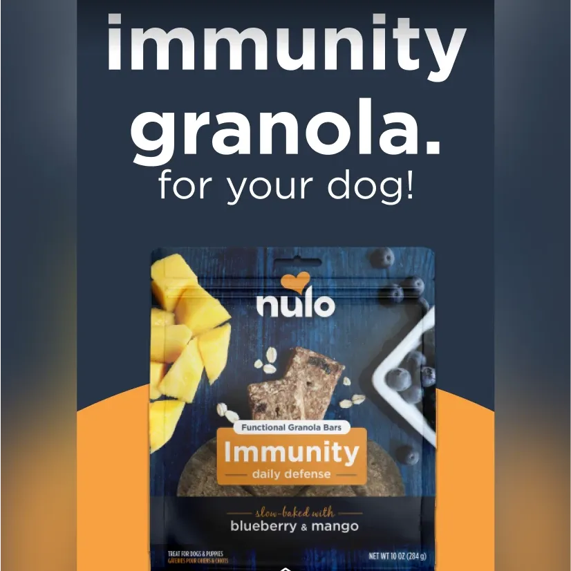 Screenshot of an Instagram ad for Nulo Pet Food.