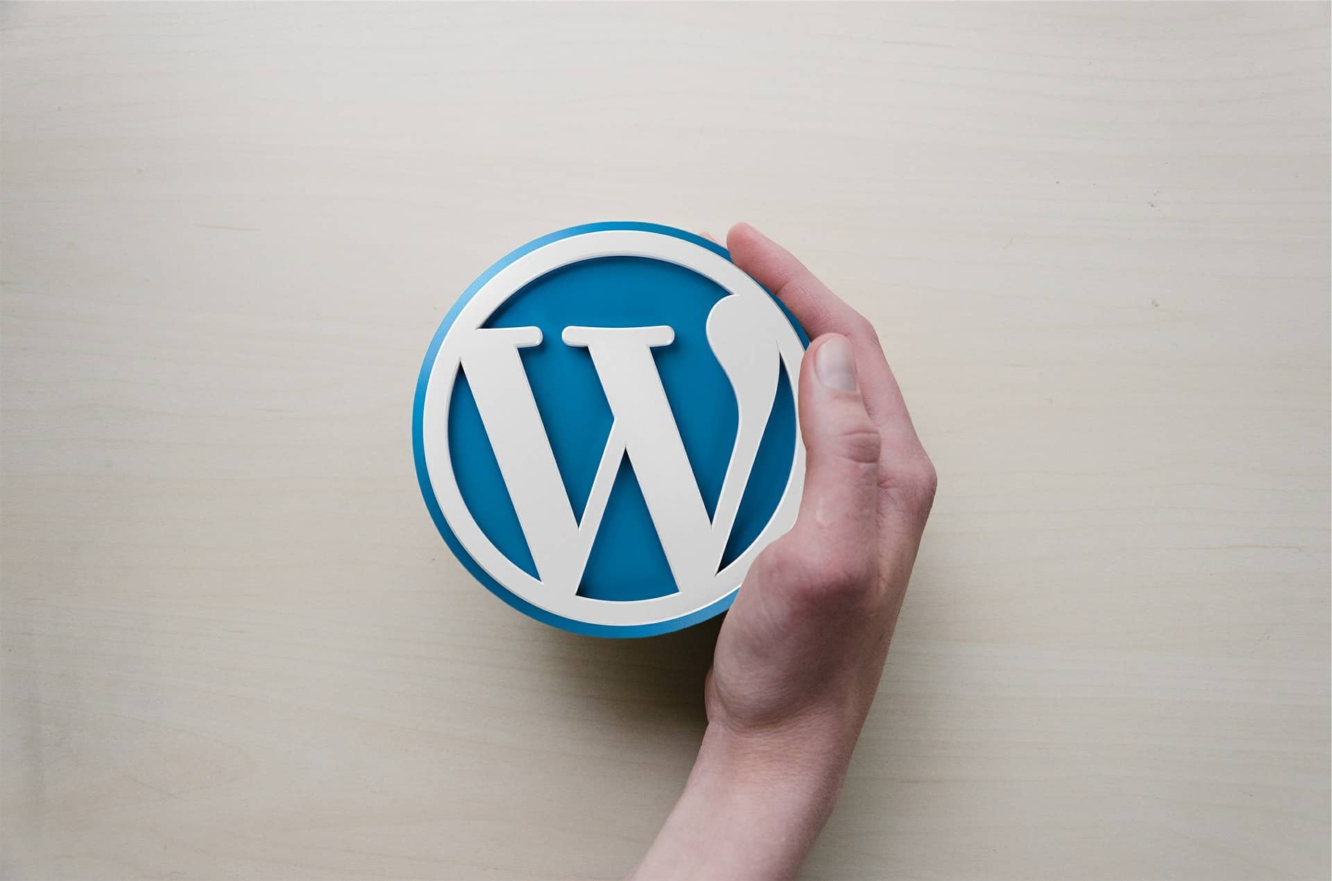A hand holding the WordPress logo